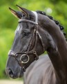 LeMieux Kudos Arc Bridle